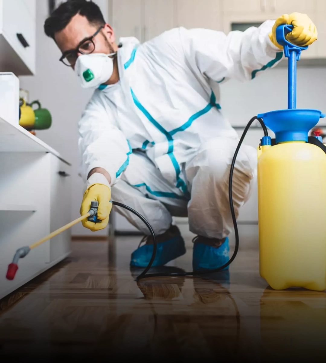 Dedetização Contra Carrapatos